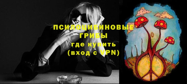 ГАЛЛЮЦИНОГЕННЫЕ ГРИБЫ Абаза