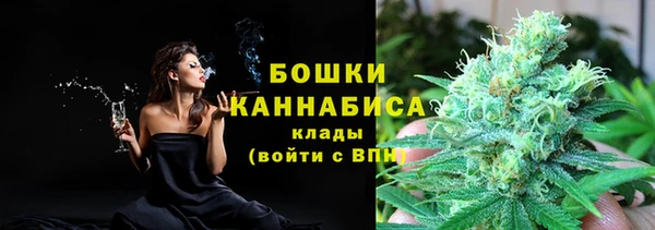 ГАЛЛЮЦИНОГЕННЫЕ ГРИБЫ Абаза
