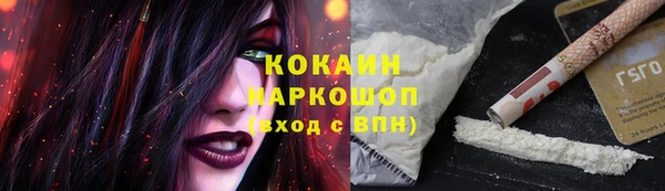 ГАЛЛЮЦИНОГЕННЫЕ ГРИБЫ Абаза