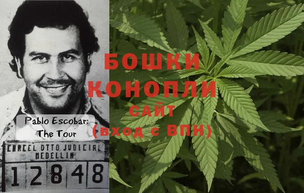ГАЛЛЮЦИНОГЕННЫЕ ГРИБЫ Абаза